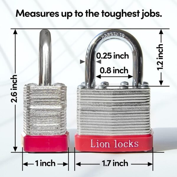 Lion Locks 12 Keyed-Alike Padlocks with 2” Long Shackle and 24 Keys